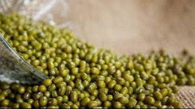 The findings highlighted widespread yellowing of moong or green gram leaves — a clear symptom of mosaic virus. (FOR REPRESENTATION)