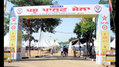 Visitors will also be able to learn about a range of dairy and meat products prepared by university departments. (HT Photo) Visitors will also be able to learn about a range of dairy and meat products prepared by university departments. (HT Photo)