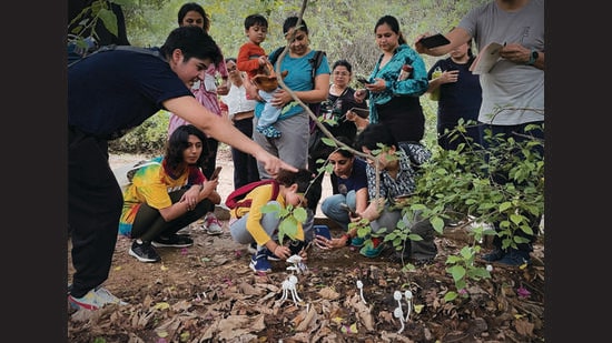 Malvika Bhatia says that the fungus' not-plant-not-met nature is a way of understanding Quir Ecology.