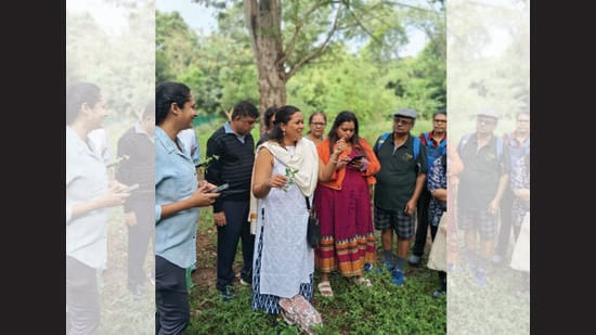 Shruti Tharail documentation of wild foods and their cook uses, and also makes forging walks.