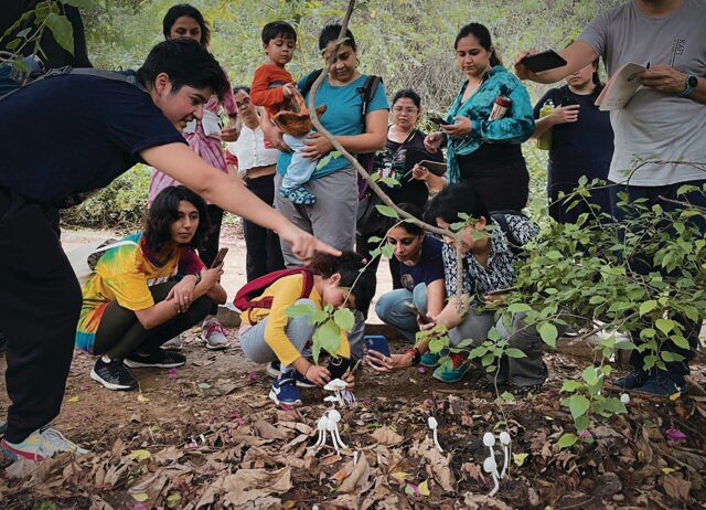 Malavika Bhatia says the not-plant-not-meat nature of fungi is a way to understand queer ecology. Malavika Bhatia says the not-plant-not-meat nature of fungi is a way to understand queer ecology.