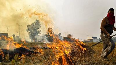 A farmer burns straw and stubble in a pady field on the outskirts of Amritsar. (PTI) A farmer burns straw and stubble in a pady field on the outskirts of Amritsar. (PTI)