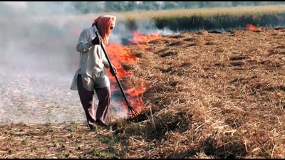 A man seen burning stubble in a field at Pandher village in Amritsar on Friday. (ANI Video Grab) A man seen burning stubble in a field at Pandher village in Amritsar on Friday. (ANI Video Grab)