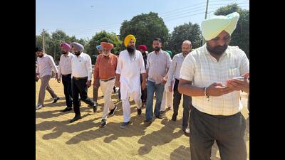 Anandpur Sahib MP Malvinder Singh Kang inspecting paddy procurement at the Kharar grain market on Friday. (HT Photo)