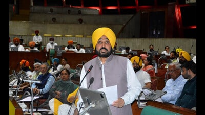 CM Bhagwant Mann on the first day of Vidhan Sabha session in Chandigarh. (Ravi Kumar/HT)