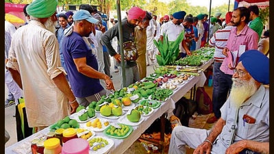 Farmers from across the state at the Kisan Mela held at Punjab Agricultural University in Ludhiana on Friday. The two-day mela will conclude on Saturday. (Gurpreet Singh/HT) Farmers from across the state at the Kisan Mela held at Punjab Agricultural University in Ludhiana on Friday. The two-day mela will conclude on Saturday. (Gurpreet Singh/HT)