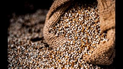 Having noticed the lack of healthy options in the ready-to-eat category, Ajay was clear that he will not make any fried stuff but only baked snacks which will also be tasty. (REPRESENTATIVE PHOTO)