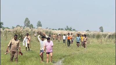 Search for wolves is underway in Bahraich. (HT) Search for wolves is underway in Bahraich. (HT)