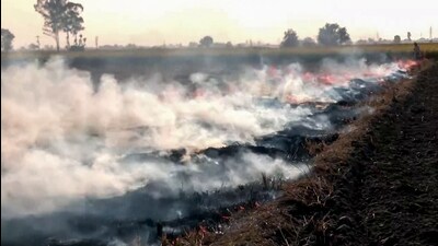 Smoke billows as farmers burn the stubble after harvesting the paddy crop in a field in Amritsar on Friday. (ANI Video Grab)