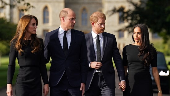 Prince Harry and Prince William’s throwback video outside Windsor Castle has left royal fans nostalgic. (AFP)