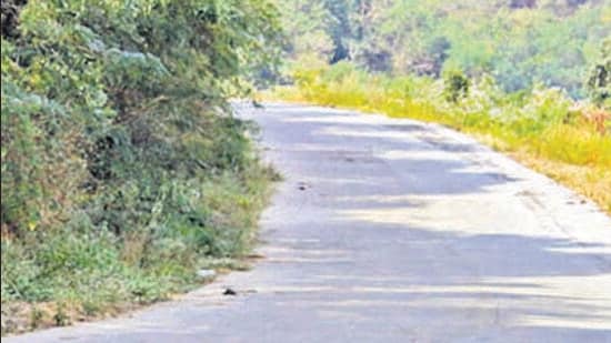 PMRDA will spend ₹628 crore to widen existing four-lane stretch into a six-lane, 50-km cement road running parallel to upcoming Hinjewadi–Shivajinagar Metro Line 3, said officials. ((PIC FOR REPRESENTATION))