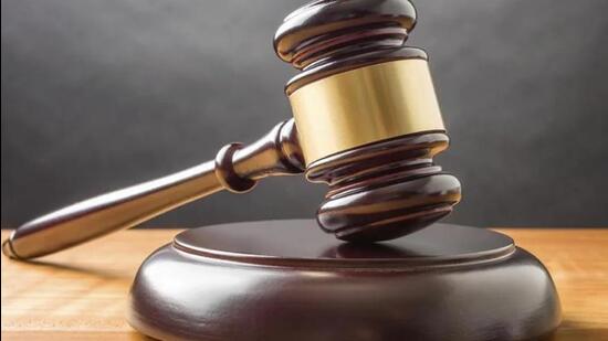 When the quantum of sentence was pronounced, the convict prayed for a lenient view, saying she was a woman and a first-time offender. Stating that she should have driven her vehicle with care and caution, the court observed that there was dereliction of duty on her part. (HT File)