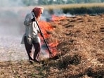 A man seen burning stubble in a field at Pandher village in Amritsar on Friday. (ANI Video Grab) A man seen burning stubble in a field at Pandher village in Amritsar on Friday. (ANI Video Grab)