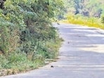 PMRDA will spend <span class='webrupee'>₹</span>628 crore to widen existing four-lane stretch into a six-lane, 50-km cement road running parallel to upcoming Hinjewadi–Shivajinagar Metro Line 3, said officials. ((PIC FOR REPRESENTATION)) PMRDA will spend <span class='webrupee'>₹</span>628 crore to widen existing four-lane stretch into a six-lane, 50-km cement road running parallel to upcoming Hinjewadi–Shivajinagar Metro Line 3, said officials. ((PIC FOR REPRESENTATION))