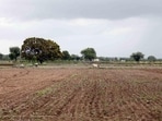 Pune district administration on Friday commenced land measurement process for long-pending Purandar International Airport project. (HT FILE) Pune district administration on Friday commenced land measurement process for long-pending Purandar International Airport project. (HT FILE)
