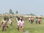 Search for wolves is underway in Bahraich. (HT)