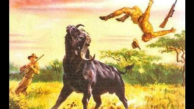 Artistic depiction of a Cape buffalo tossing a hunter into the air. (MICHAEL WALKER / ROBERT C. RUARK PAGE ON FACEBOOK) Artistic depiction of a Cape buffalo tossing a hunter into the air. (MICHAEL WALKER / ROBERT C. RUARK PAGE ON FACEBOOK)