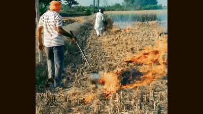 As per the Punjab Pollution Control Board action-taken report, only 47 fire incidents – out of the total 82 – could be physically verified by the field officers. (ANI video grab) As per the Punjab Pollution Control Board action-taken report, only 47 fire incidents – out of the total 82 – could be physically verified by the field officers. (ANI video grab)