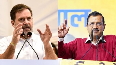 AAP questioned the leader of the opposition in the Lok Sabha Rahul Gandhi's silence on Wangchuk's detention. (ANI photos)