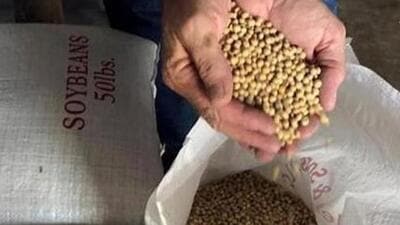 Reacting to the development, farm leader Rahul Raj termed it an “eyewash”, pointing out that the state was not procuring soybean on MSP of ₹5,328 per quintal announced by the Centre. Reacting to the development, farm leader Rahul Raj termed it an “eyewash”, pointing out that the state was not procuring soybean on MSP of ₹5,328 per quintal announced by the Centre.