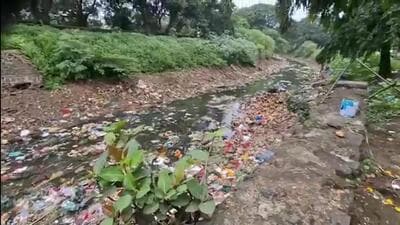 Right canal of Khadakwasla Dam, which supplies water for drinking and irrigation to Haveli, Daund and Indapur talukas, has turned into a dumping ground for the city’s sewage and garbage. (HT) Right canal of Khadakwasla Dam, which supplies water for drinking and irrigation to Haveli, Daund and Indapur talukas, has turned into a dumping ground for the city’s sewage and garbage. (HT)