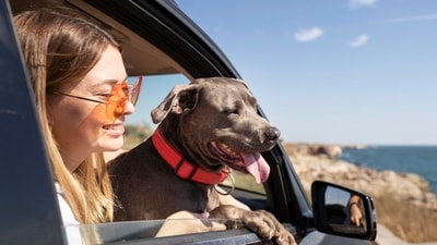 Enjoy the company of your pet on trips. (PC: Freepik) Enjoy the company of your pet on trips. (PC: Freepik)