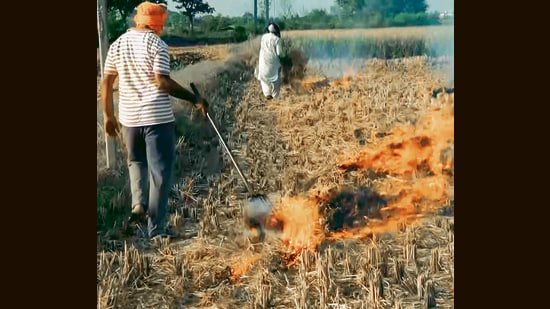 As per the Punjab Pollution Control Board action-taken report, only 47 fire incidents – out of the total 82 – could be physically verified by the field officers. (ANI video grab)