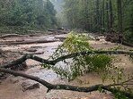 Landslides are common in the Great Smoky Mountains National Park and surrounding areas during heavy rain events.