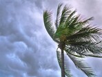 Tropical Depression Nine is expected to become Hurricane Imelda, potentially tracking along Florida’s east coast Monday and reaching the Carolinas by midweek. Tropical Depression Nine is expected to become Hurricane Imelda, potentially tracking along Florida’s east coast Monday and reaching the Carolinas by midweek.