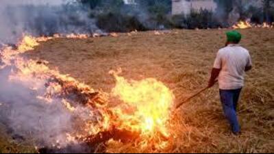 Along with this, the Punjab government has already marked 32 red entries in the land records of violators. (HT Photo for representation)