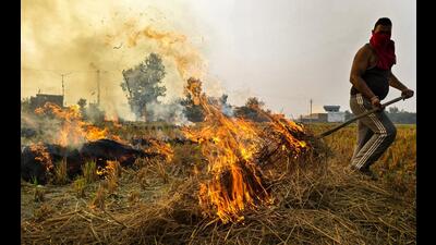 Last year, Mohali district, which has over 350 villages, had reported 133 stubble burning cases, out of which FIRs were registered in 27 cases. (Representational image)