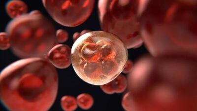 The Chronic Myeloid Leukemia medicine is provided free under Ayushman scheme. (HT Photo) The Chronic Myeloid Leukemia medicine is provided free under Ayushman scheme. (HT Photo)
