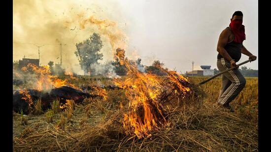 Last year, Mohali district, which has over 350 villages, had reported 133 stubble burning cases, out of which FIRs were registered in 27 cases. (Representational image)
