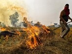 Last year, Mohali district, which has over 350 villages, had reported 133 stubble burning cases, out of which FIRs were registered in 27 cases. (Representational image) Last year, Mohali district, which has over 350 villages, had reported 133 stubble burning cases, out of which FIRs were registered in 27 cases. (Representational image)