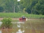 Residents riding a tractor through a flooded field at Ramdass in Amritsar district on September 10. (Sameer Sehgal/HT) Residents riding a tractor through a flooded field at Ramdass in Amritsar district on September 10. (Sameer Sehgal/HT)