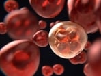 The Chronic Myeloid Leukemia medicine is provided free under Ayushman scheme. (HT Photo)