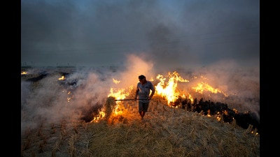 A farmer burns paddy stubble in a field, on the outskirts of Amritsar, Punjab, on Monday. (PTI) A farmer burns paddy stubble in a field, on the outskirts of Amritsar, Punjab, on Monday. (PTI)