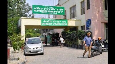 Health officials have warned snakebite victims against relying on quacks for treatment. (HT file) Health officials have warned snakebite victims against relying on quacks for treatment. (HT file)
