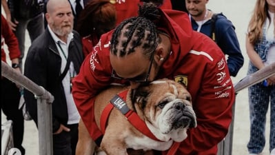 F1 racer Lewis Hamilton mourns loss of pet dog Roscoe. Here's what he said. (Instagram/@lewishamilton) F1 racer Lewis Hamilton mourns loss of pet dog Roscoe. Here's what he said. (Instagram/@lewishamilton)