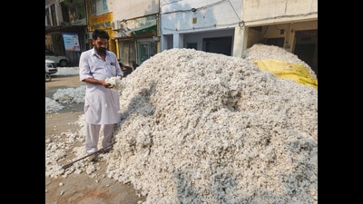 A farmer from Jeeda village Darshan Singh shows his Cotton crop at the grain market in Bathinda Tuesday. (Sanjeev Kumar/HT)