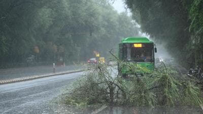 A tree gets uprooted during heavy rain on Tilak Marg on Tuesday. (Arvind Yadav/HT Photo) A tree gets uprooted during heavy rain on Tilak Marg on Tuesday. (Arvind Yadav/HT Photo)
