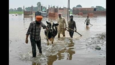 As per IMD forecast, northwest region, including Punjab and Himachal Pradesh, was to receive normal to above normal rainfall. But the region logged 27% excess rain, highest since 2001. (AFP) As per IMD forecast, northwest region, including Punjab and Himachal Pradesh, was to receive normal to above normal rainfall. But the region logged 27% excess rain, highest since 2001. (AFP)