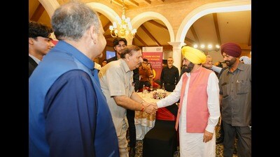 Punjab chief minister Bhagwant Mann led the delegation during the road show. (HT)