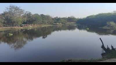 The Kanihar lake on the outskirts of Prayagraj city (FILE PHOTO) The Kanihar lake on the outskirts of Prayagraj city (FILE PHOTO)
