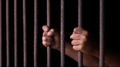 The accused was convicted under Sections 379-A and 411 of the IPC. (HT File) The accused was convicted under Sections 379-A and 411 of the IPC. (HT File)