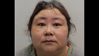 Zhimin Qian, 47, has pleaded guilty to money laundering offences Zhimin Qian, 47, has pleaded guilty to money laundering offences