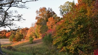 Old Farmer’s Almanac reveals October 2025 weather forecast for the US (Unsplash) Old Farmer’s Almanac reveals October 2025 weather forecast for the US (Unsplash)