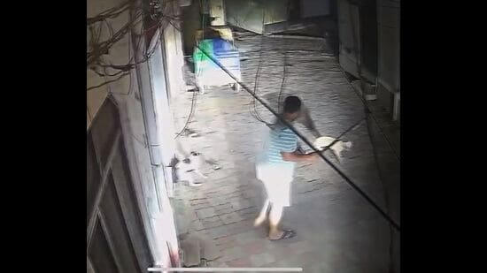 The accused, Sharanjit Singh, was caught on CCTV cameras while attacking the stray dogs with his hockey stick on Monday night. One dog was seriously injured and died. (HT)
