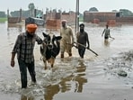 As per IMD forecast, northwest region, including Punjab and Himachal Pradesh, was to receive normal to above normal rainfall. But the region logged 27% excess rain, highest since 2001. (AFP) As per IMD forecast, northwest region, including Punjab and Himachal Pradesh, was to receive normal to above normal rainfall. But the region logged 27% excess rain, highest since 2001. (AFP)