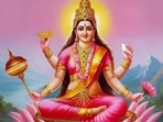 Navratri Day 10: Maa Siddhidatri is worshipped on the ninth day of Navratras. (Photos: X)